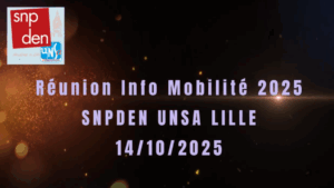 REPLAY REUNION MOBILITE SNPDEN LILLE
